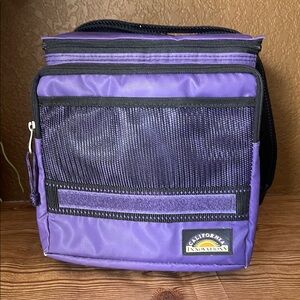 Purple Men's Bag
